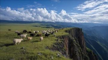 呼倫貝爾自駕游：風吹草低見牛羊的詩意之旅