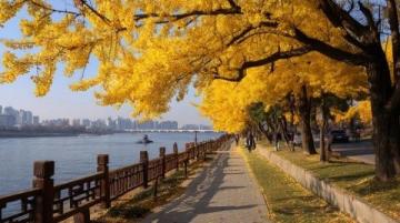 北京秋日Citywalk攻略:6條路線盡賞北平秋景魅力