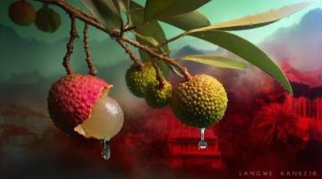 298元6顆的荔枝傳奇