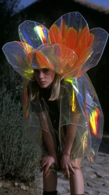 彩虹穿越美食文推薦送自己一朵花