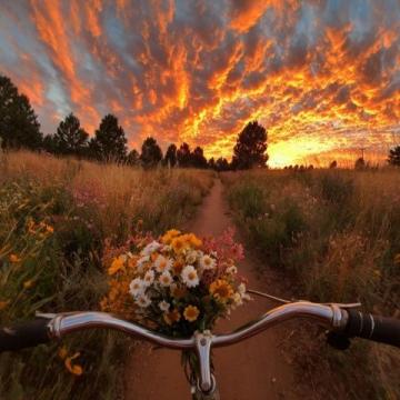 周末德州騎行記：東德街頭賞花購物，體驗詩意煙火生活