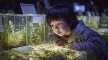 走進鳥巢 水立方 周邊逛吃玩一日游