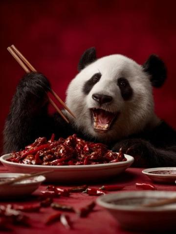 梓要你來，幸福潼在！