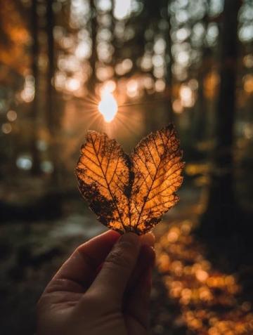 冬季暖心養生秘訣:珍藏這5個呵護心臟的妙招