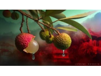 298元6顆的荔枝傳奇