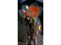 彩虹穿越美食文推薦送自己一朵花