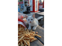 午飯時間又到了，我卻沒有食欲？