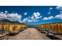 伊豆半島一日游(伊豆半島美食)