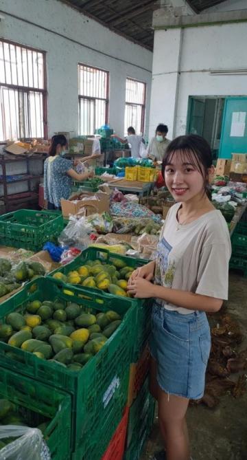 一路向北：云頂市集之旅