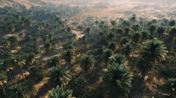 2025年初雪，金塔縣晨曦掌間融