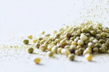 探索香菜的獨(dú)特魅力：你接受它的味道嗎？