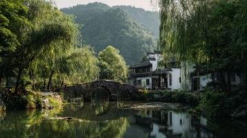 莫愁村的秘密：不僅是長壽村，還有更多可愛的地方等待你去探索