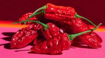 一口撞破！美女吃驚面對網紅辣椒