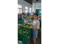 一路向北：云頂市集之旅