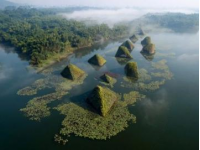 蓮都漫記：山水畫廊間的味覺鄉愁—體驗粵西封開縣最美藕文化和風光