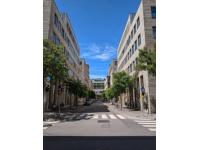 探索魁北克首府蒙特利爾：法語氛圍、歷史建筑與美食之旅