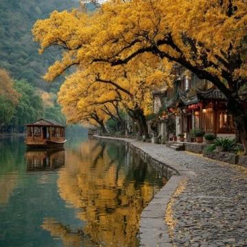 肇慶游玩歸來,推薦必去景點