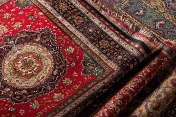 初一，十一假期地毯式復習，月考穩(wěn)進前三