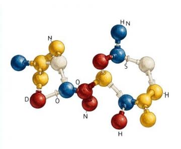 高中化學選修三：第一章有機化合物性質(zhì)要點總結(jié)