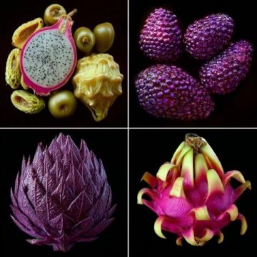 這些古老的水果竟然讓大佬們?nèi)绱藢擂危? width=