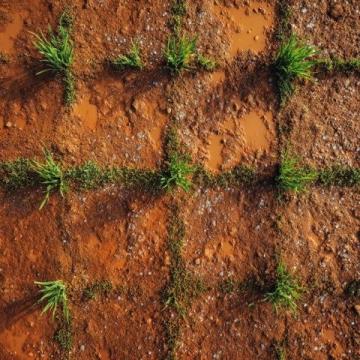 春草護(hù)苗：知識(shí)科普學(xué)習(xí)文案大熱