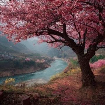 淮南的風是潤的，裹著豆香與水腥氣，讓網紅攻略里的刻板印象泡得軟乎乎的。