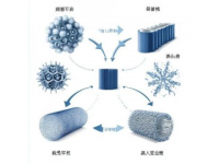 七年級生物必考點一網打盡：詳解核心知識+160個高頻考題攻略
