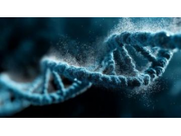 高中生物必背289個名詞解釋超詳細匯總！