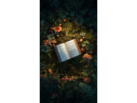 開啟知識之旅：探索自然界的奧秘與神奇現象