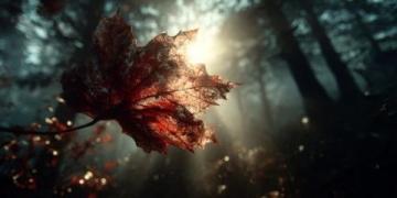 秋意濃，偶有清風撫面，天高云淡，生活寂靜又安詳