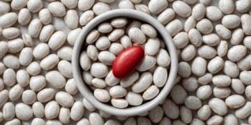 蘭州美食之灰豆子(美食灰)