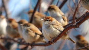 我領到了春日踏青攻略七星巖外煙霞古,疊彩山前草木深