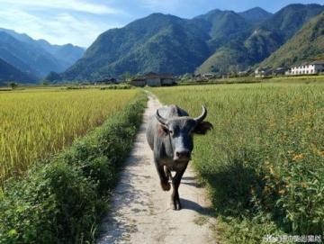 麗水旅游攻略: 美麗風光、古跡眾多