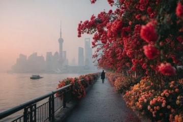 漫步上海，一整天捕捉20佳景，體驗城市風光極致之美