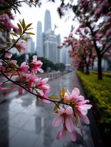 漫步上海，一整天捕捉20佳景，體驗城市風光極致之美