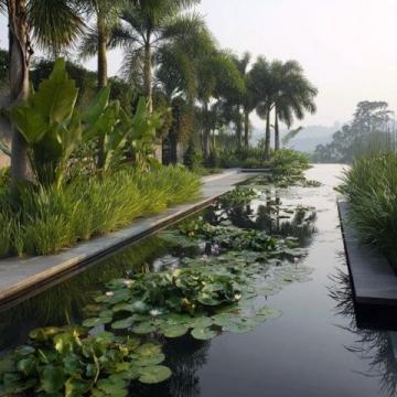 海南秘境：雨林溫泉、沙爹咖啡，一站式解鎖巴厘島度假感