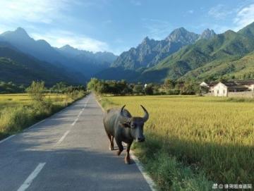 探秘凱里:一場說走就走的貴州之旅,感受家鄉(xiāng)味與異鄉(xiāng)情