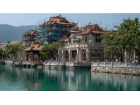 周末游記：海口萬綠園，綠色海洋里的城市樂園#海南花之美#