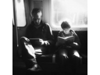 孤獨之旅課文知識梳理及好詞好句