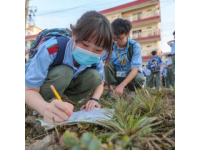 青島農(nóng)業(yè)大學(xué)新生返鄉(xiāng)助親收割玉米