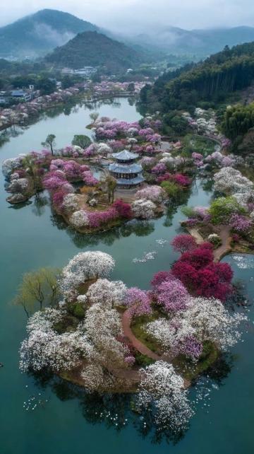 國內適合中老年人旅游的熱門目的地推薦