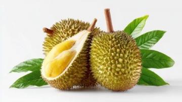 為什么在新加坡可以輕易吃到榴蓮，但是在酒店卻要遭受罰款？