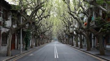 上海這個免費開放的綠地中心公園，環境優美，宛如世外桃源！