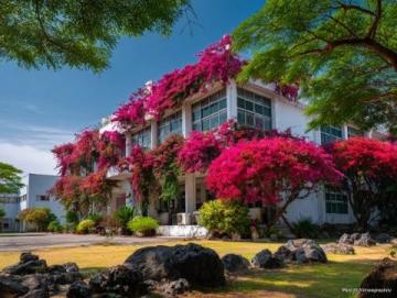 昆明市第一中學百年校慶：傳承輝煌，書寫未來