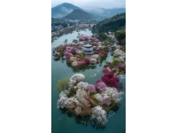 國內適合中老年人旅游的熱門目的地推薦