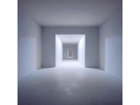 王石和田樸珺的愛情故事:一段超越傳統伴侶關系的復雜之美