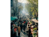 漫步80后記憶中的老菜場，告別西安前必去的一條街