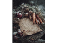 立冬必備：三款應季暖身滋補菜譜推薦