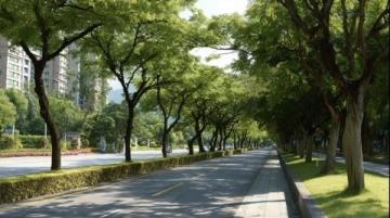 青島一日游攻略：城市漫步最佳路線推薦