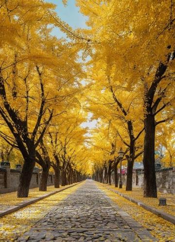 秋游武漢必去!9大地標解鎖絕美秋色